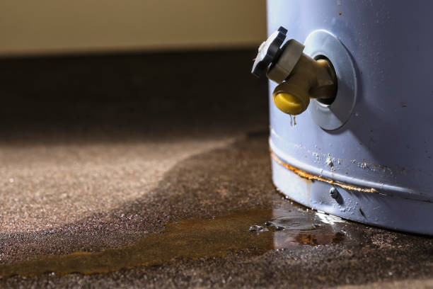 Sewage cleanup and water damage restoration in MD