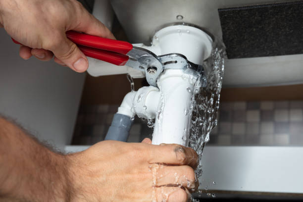 Best Mold removal after water damage  in Linthicum, MD
