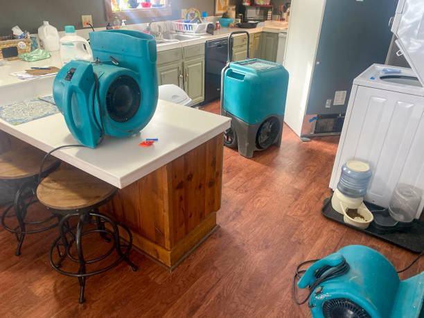 Best 24/7 water damage repair  in Linthicum, MD