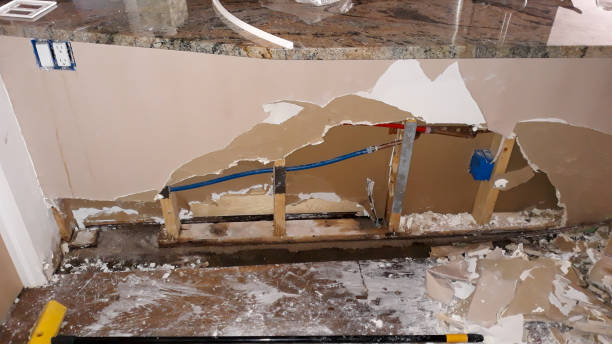 Best Professional water damage repair  in Linthicum, MD