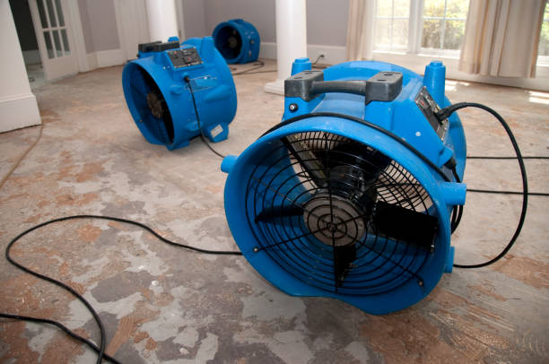 Best 24-hour water damage restoration  in Linthicum, MD