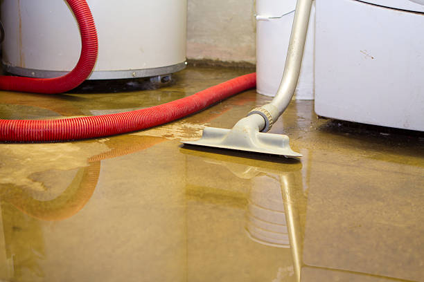 Best Flooded house restoration  in Linthicum, MD