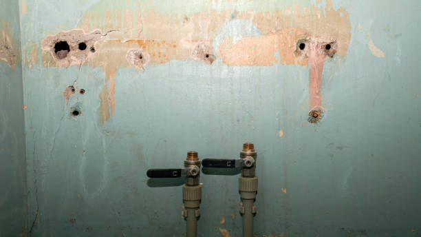 Best Commercial water damage restoration  in Linthicum, MD