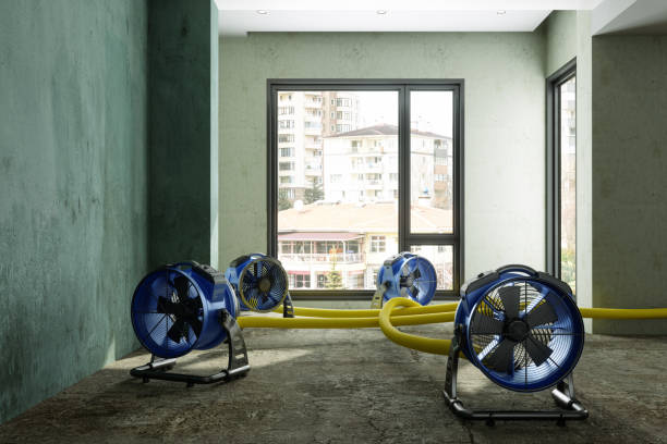 Best Carpet water damage restoration  in Linthicum, MD